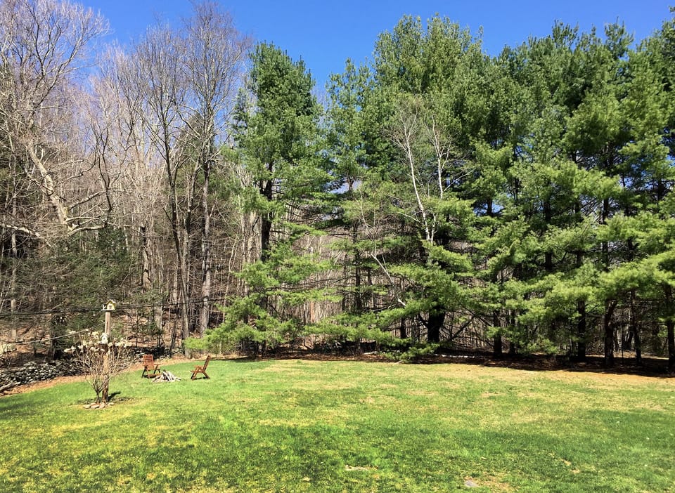 Huge yard
