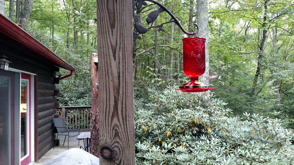 Front porch. Wooded view.