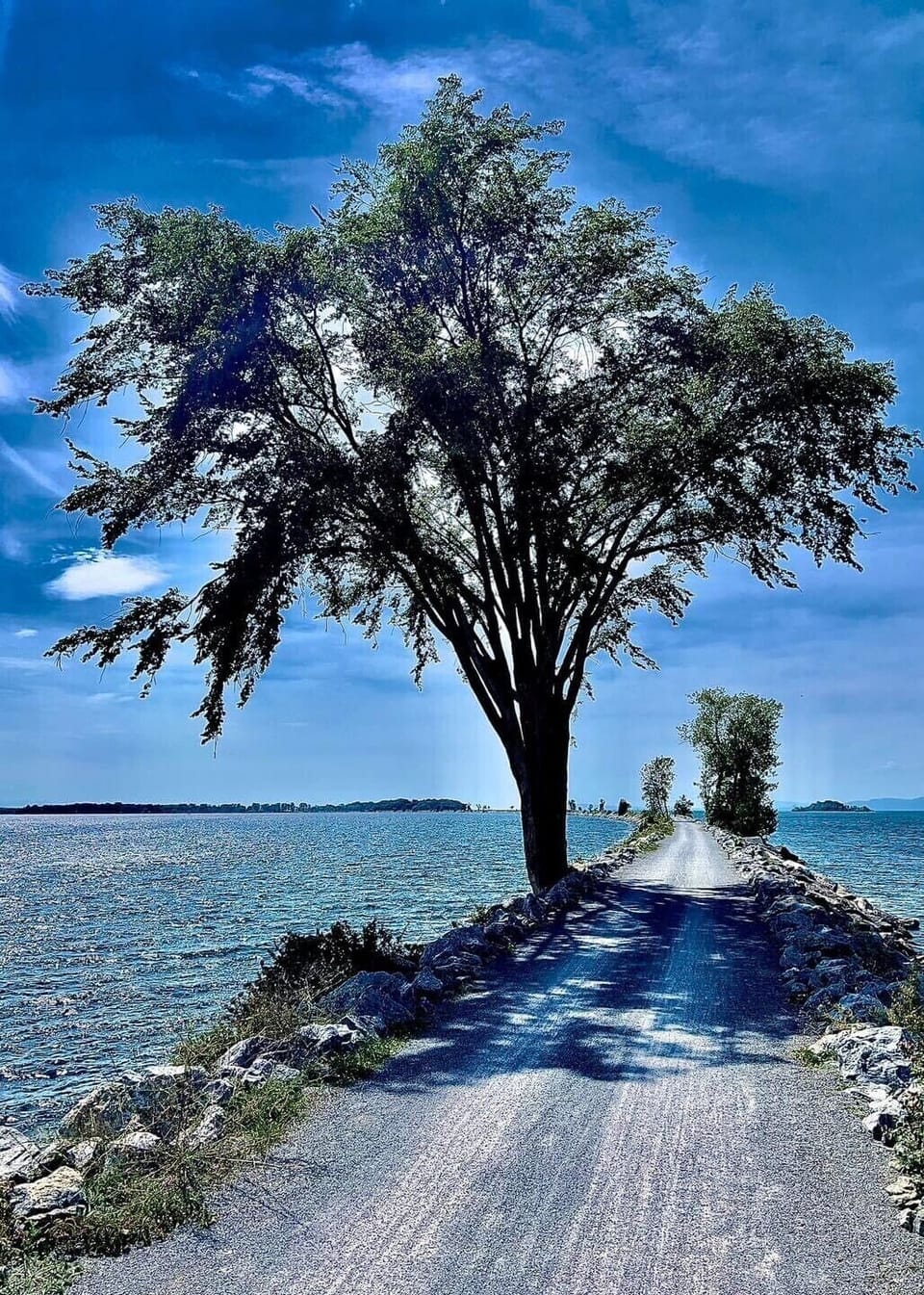 Causeway Bike Path, steps from our Cottage.