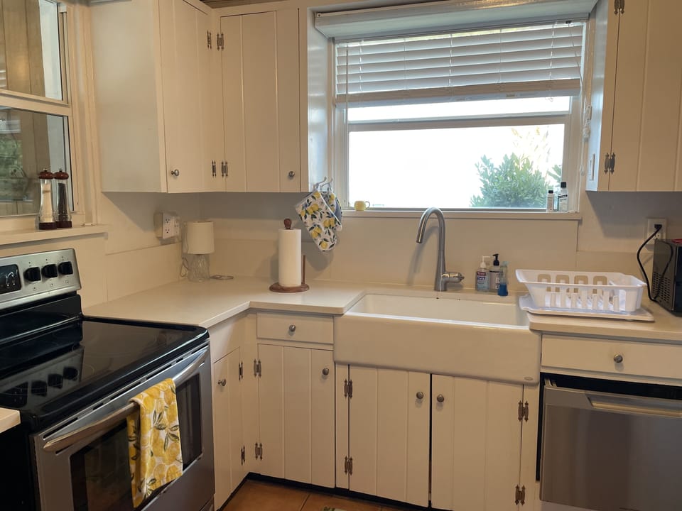 Kitchen window