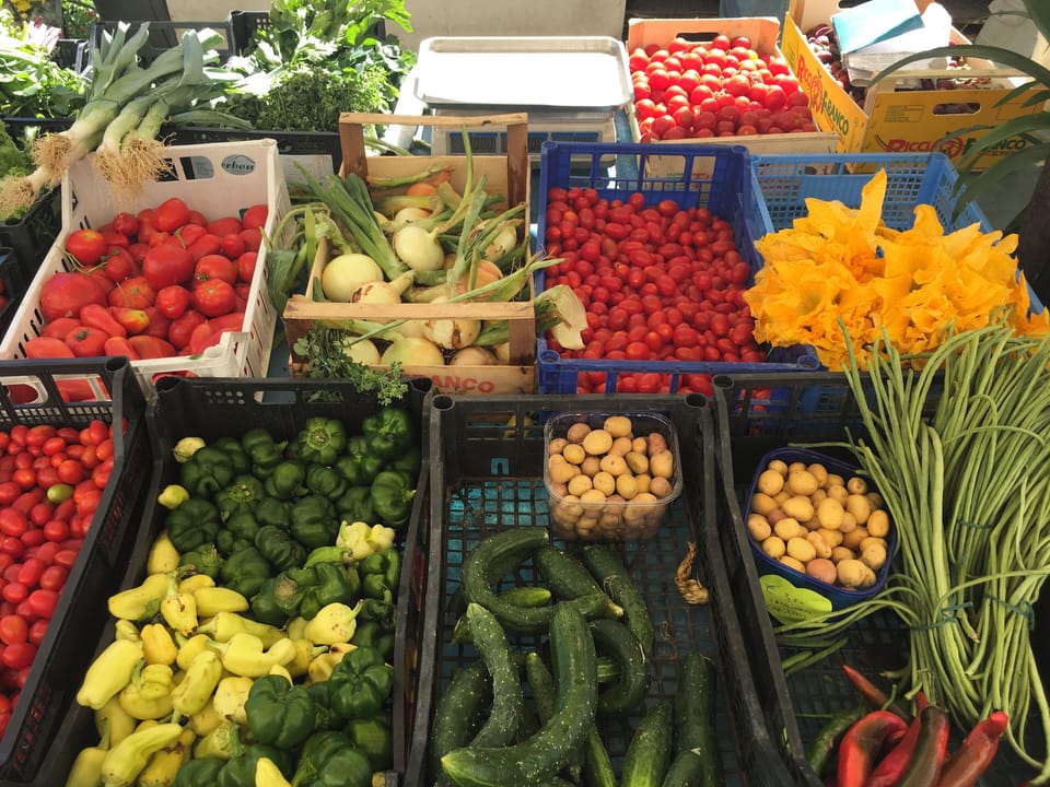 Organic vegetables of the Saturday morning market