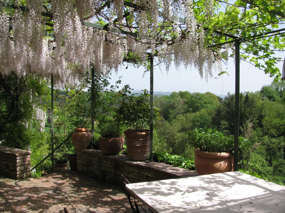 the terrace