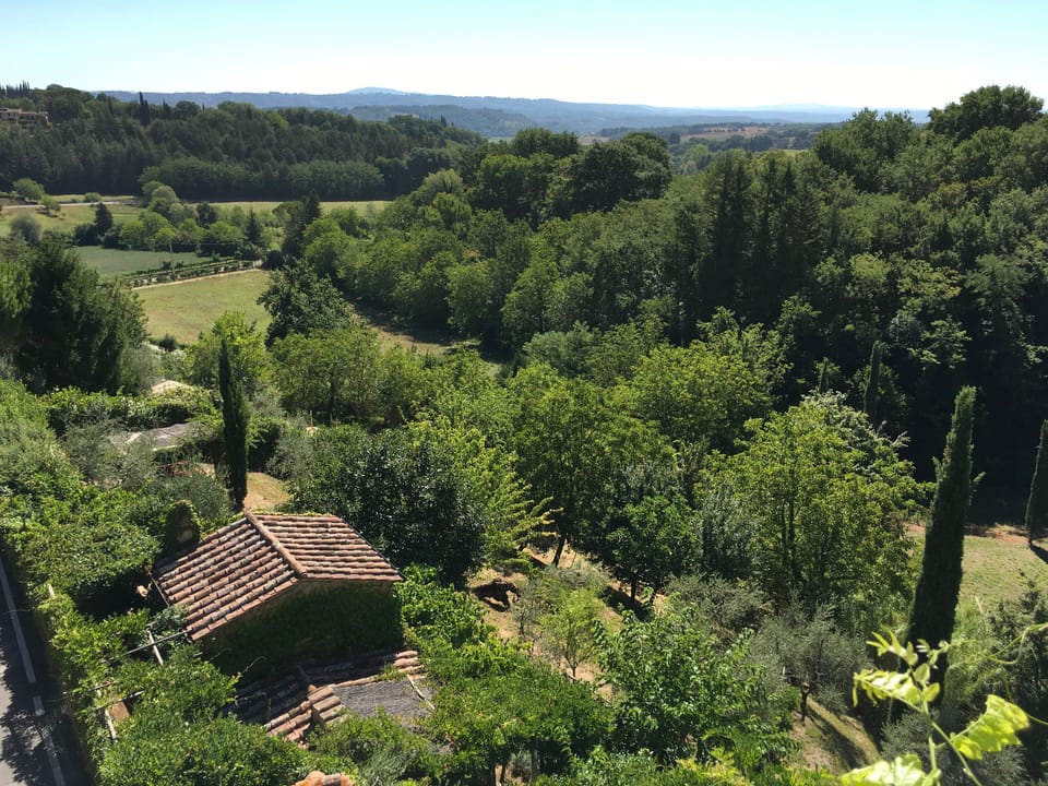 View from one of the upstairs bedrooms.