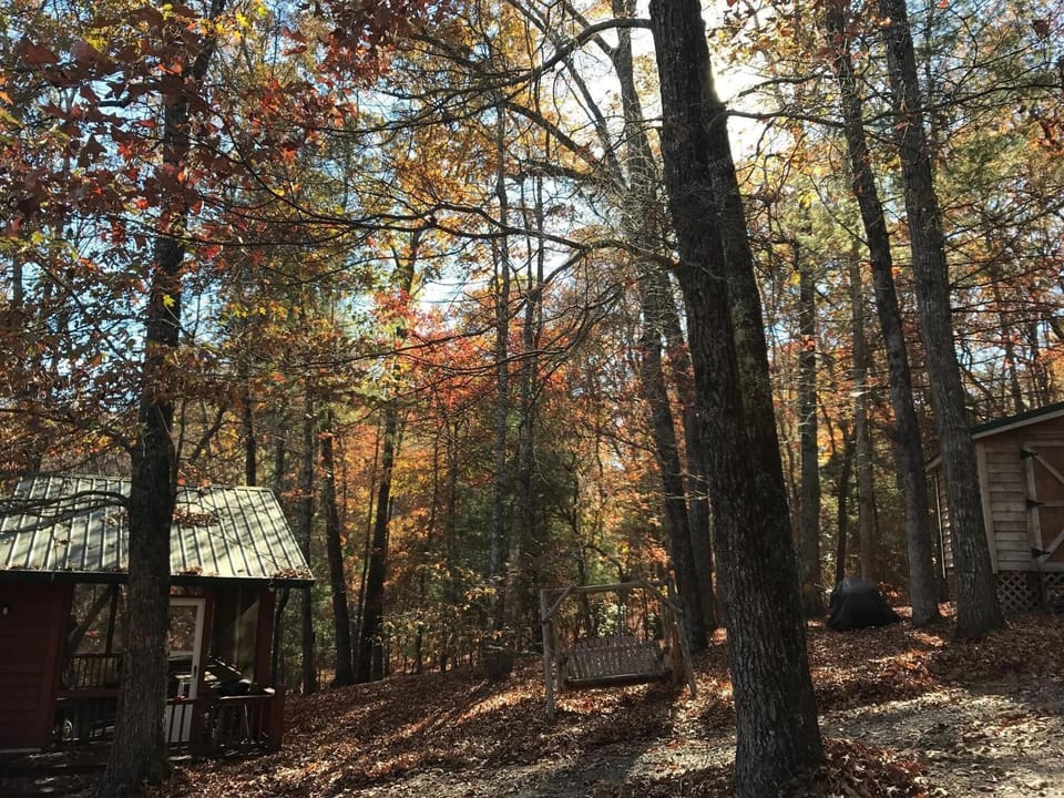 Fall at cabin