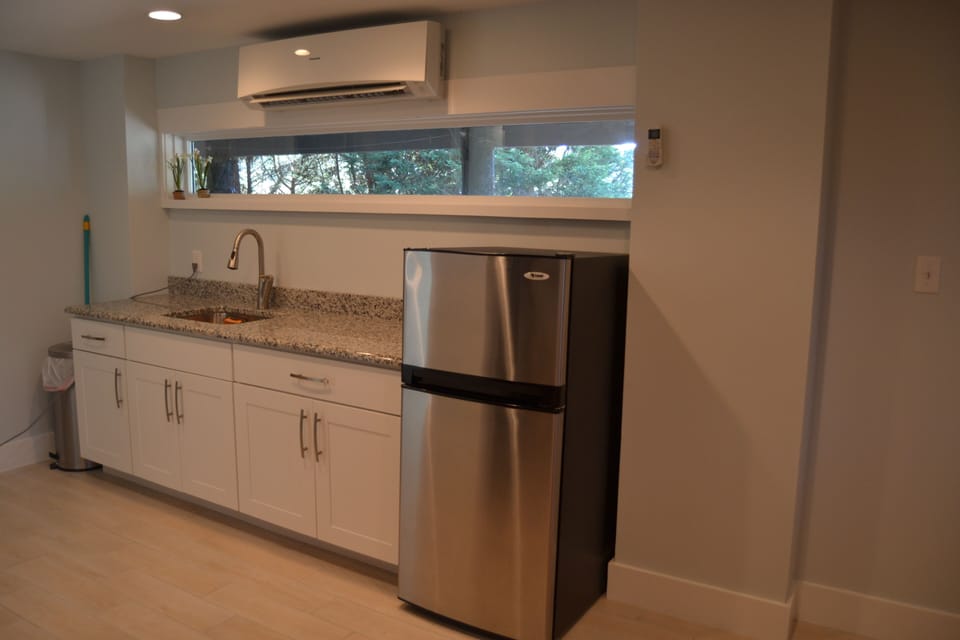Lower Level Kitchen