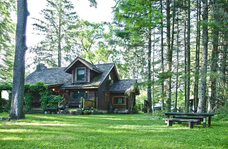 Backyard View