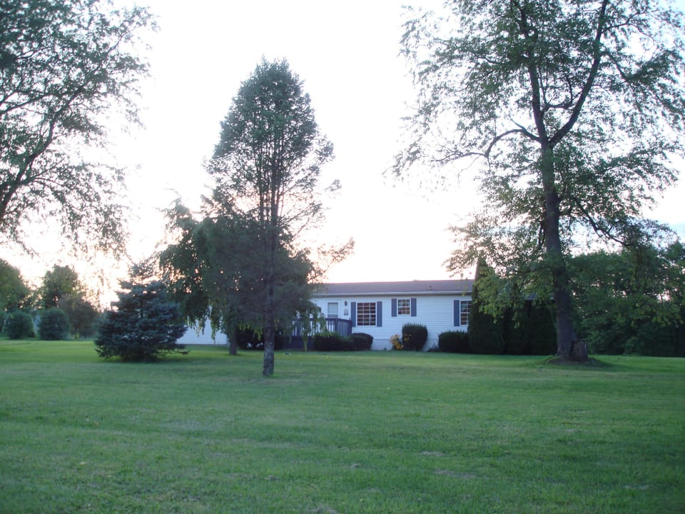 Nice spacious yard