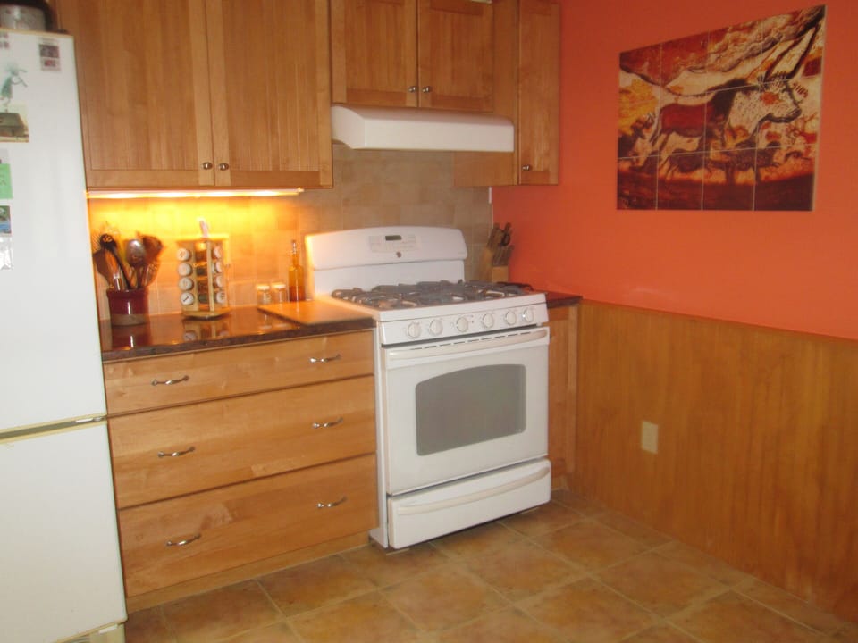 A large stove with inset griddle for the gourmet cook
