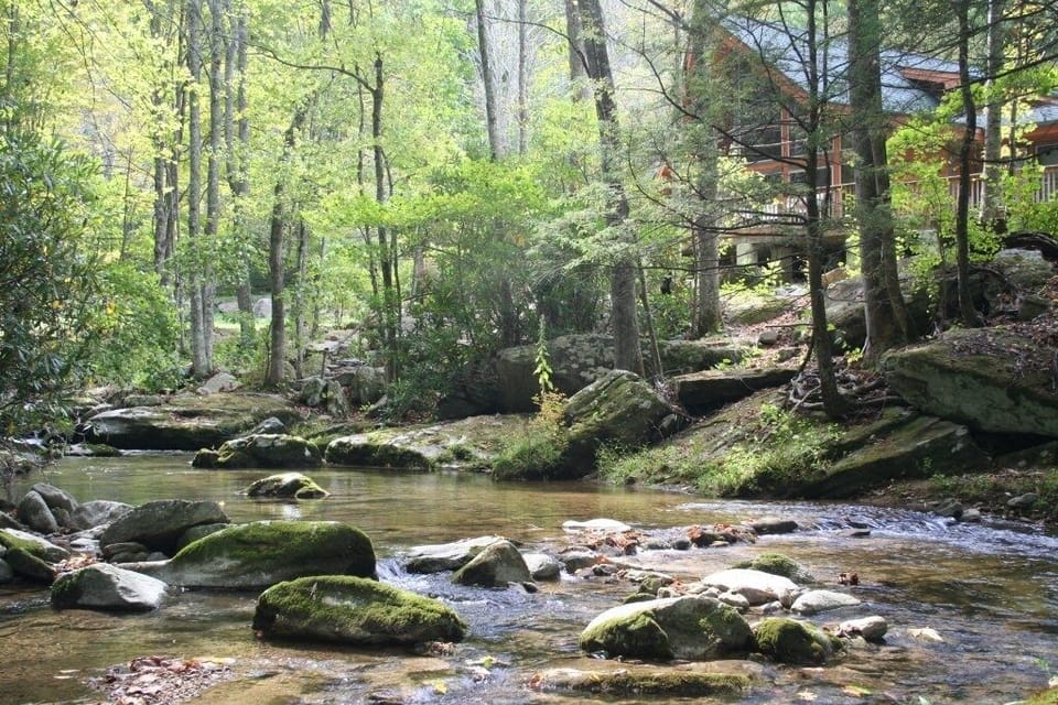 Trout fish in your backyard, state stocked waters