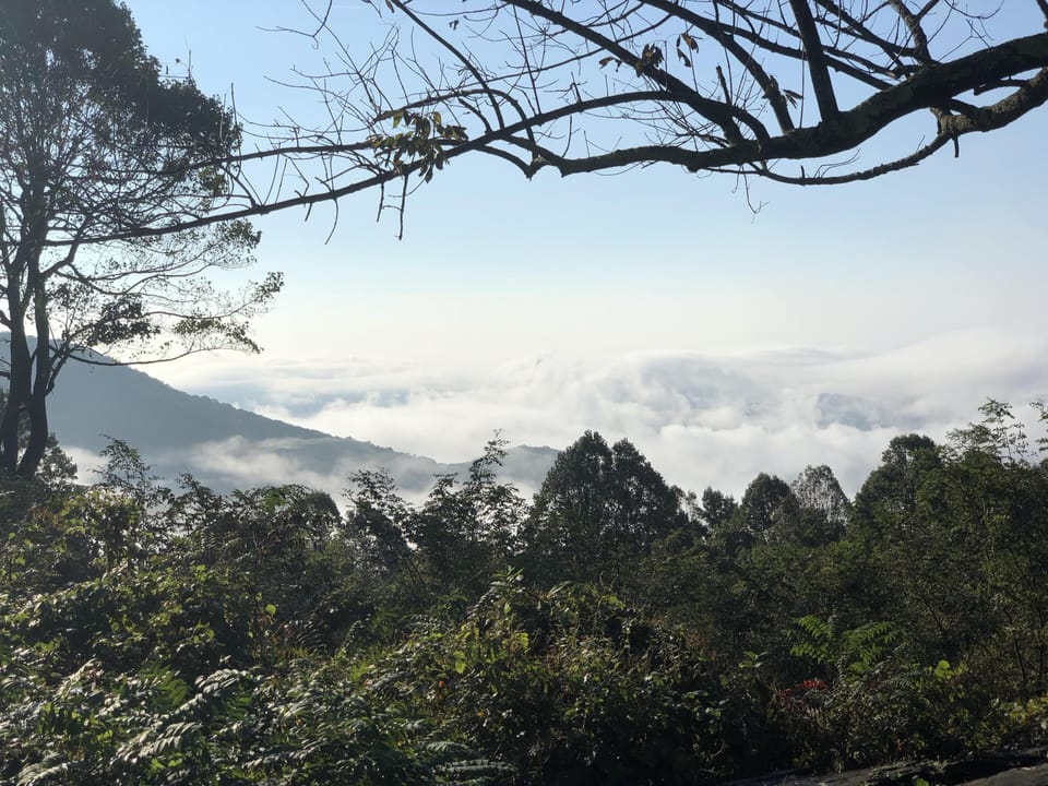 The beautiful Blue Ridges