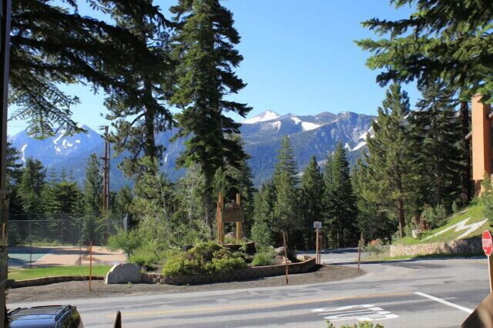 View from family room in summer