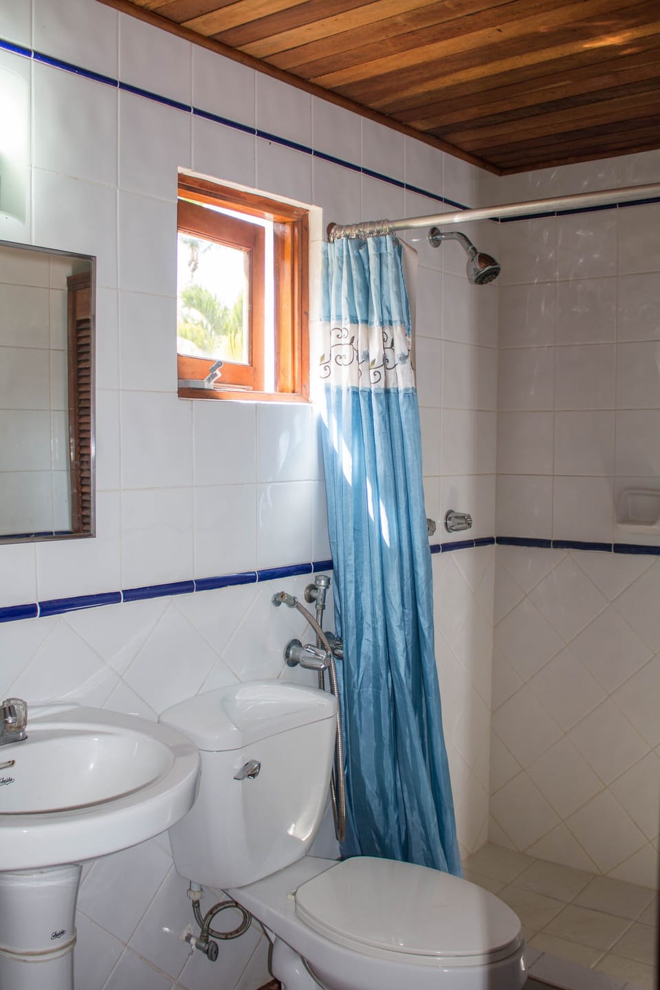 Downstairs washroom & shower