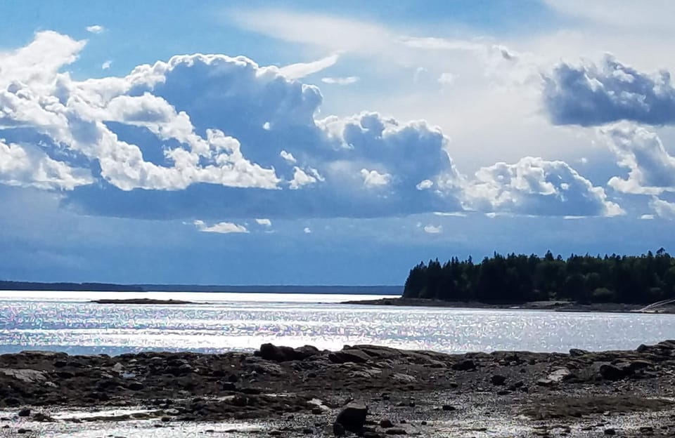 View from rocky beach at low tide
