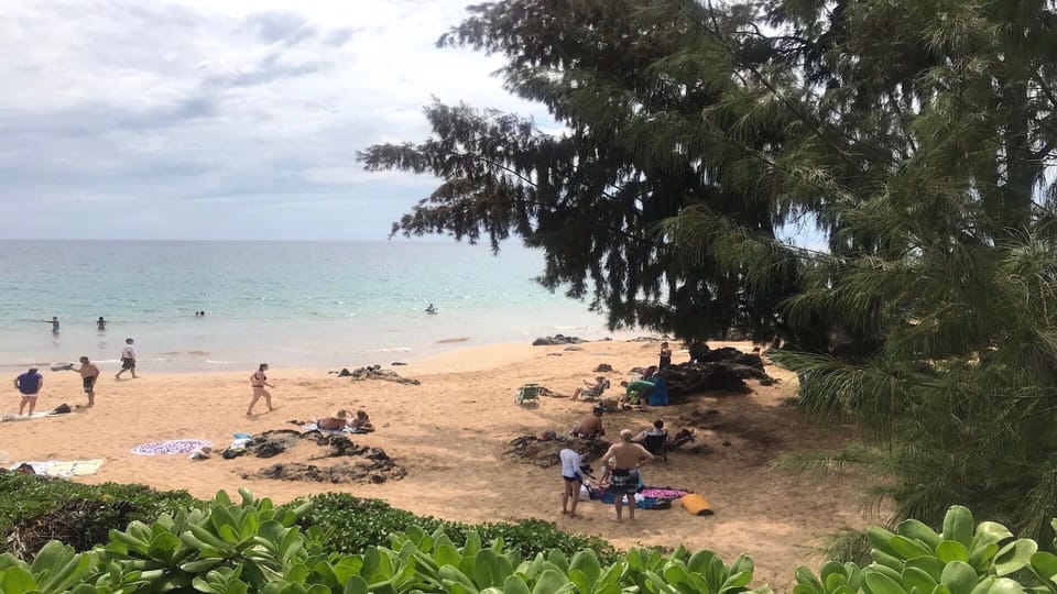 Charley Young Beach across from Maui Vista complex