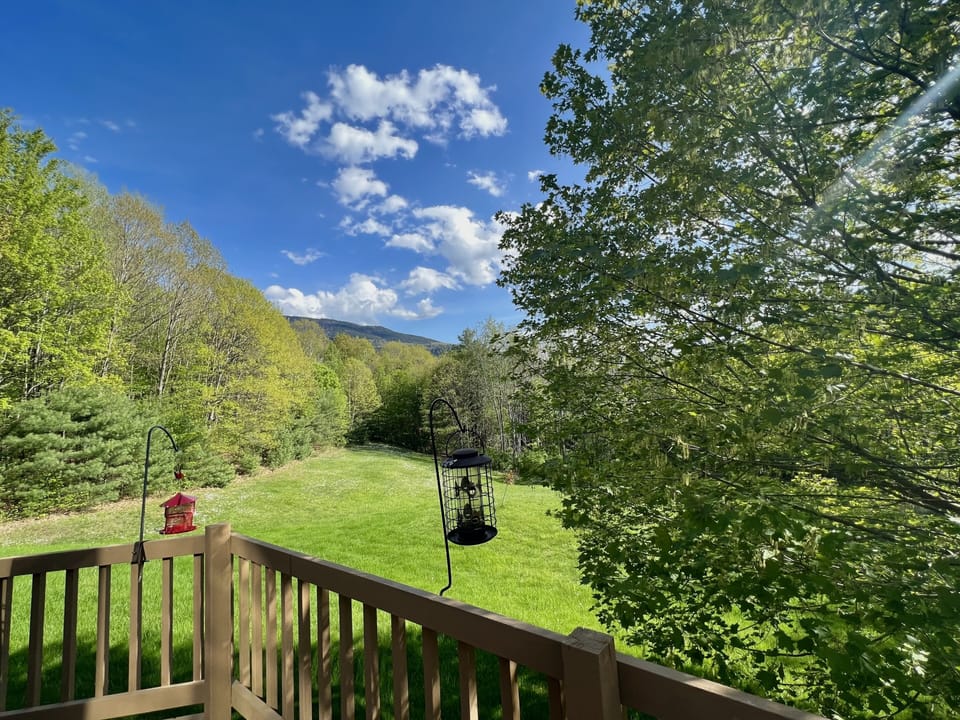 View from the deck