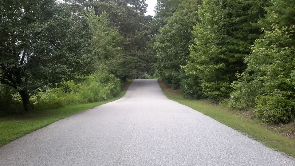 This is the road leading to our cabin. nice rolling tree canopy paved ride.