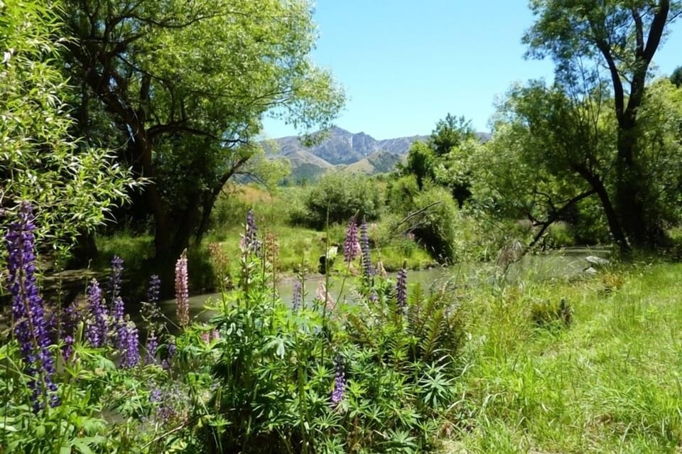 Arrow River in Spring