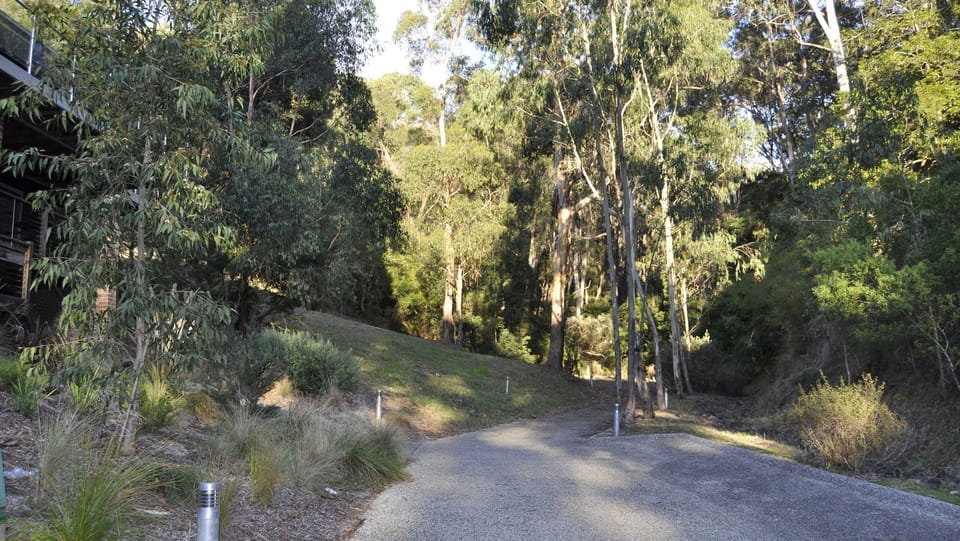 Serene surroundings yet only 6 minutes to walk to the main street and beach.