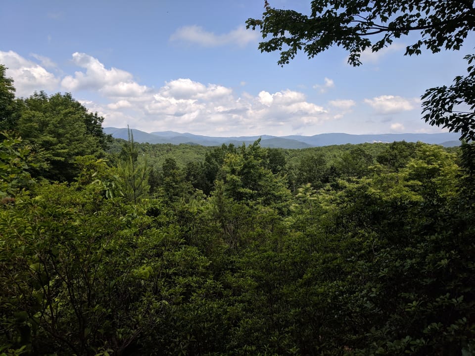 View from the back porch