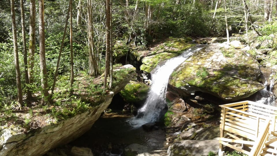 Otter Falls.....10 minute walk !!!