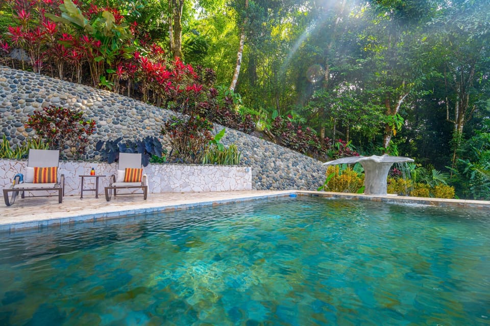Pool and lounge area.