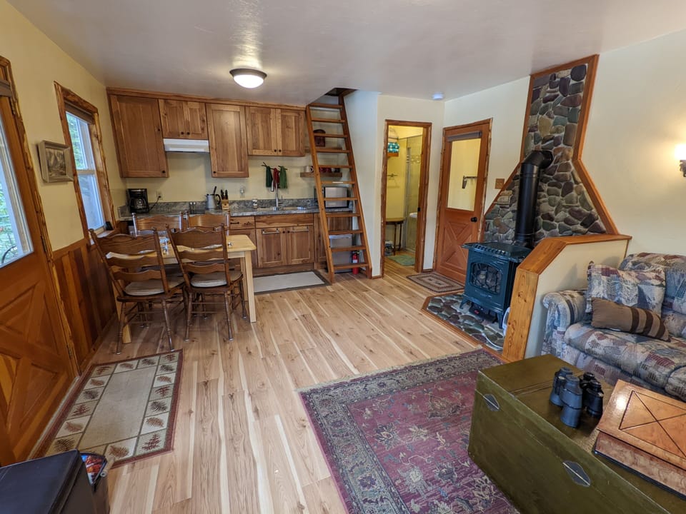 Smart TV, fireplace, DVD player, books