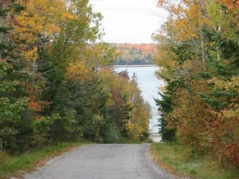 Autumn View of Ocean from Hadley Point Road!