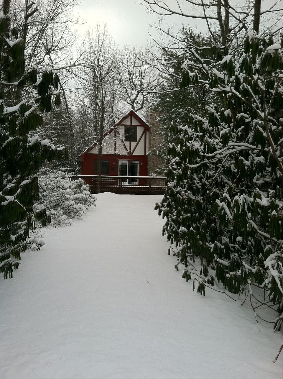 Winter Wonderland