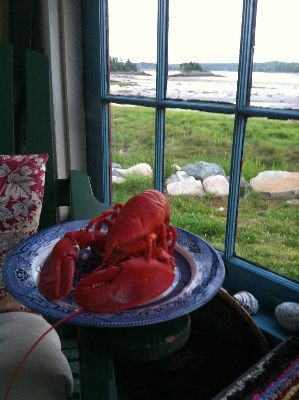 Have your delicious fresh lobster on the porch enjoying spectacular views!