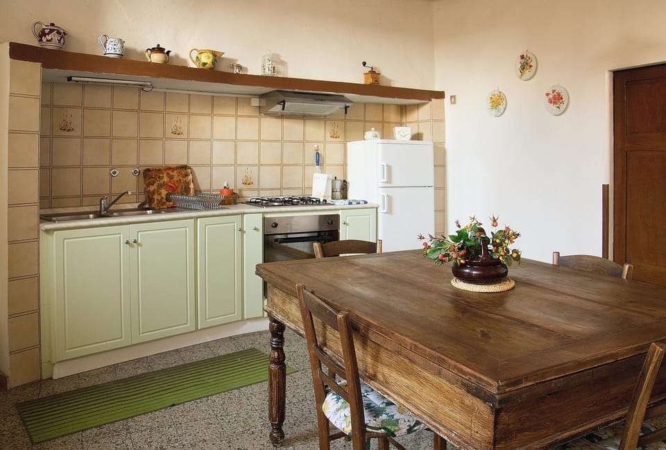 Fridge, oven, stovetop, coffee/tea maker