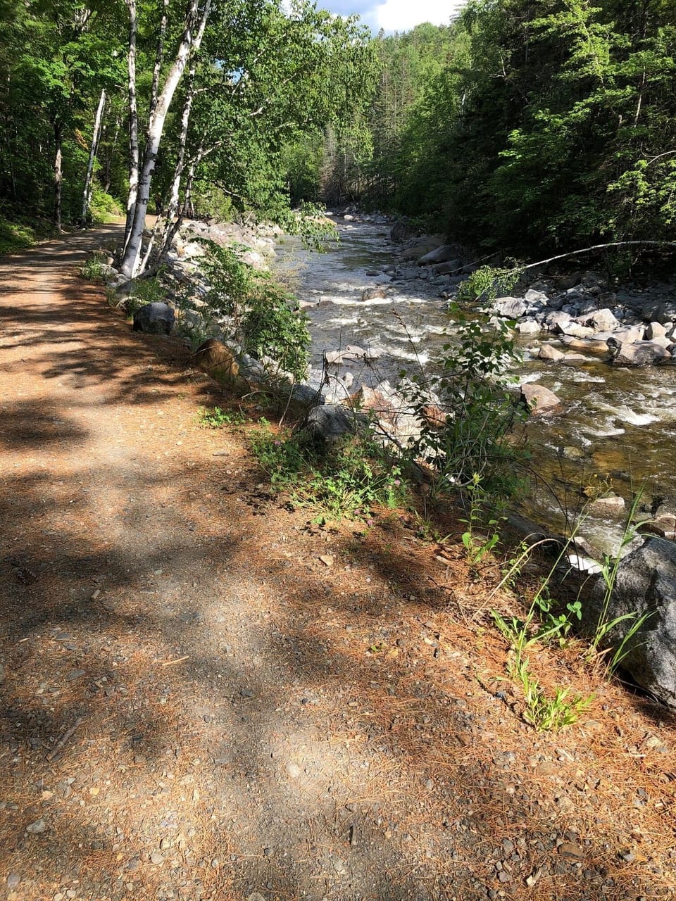 mountain biking trail