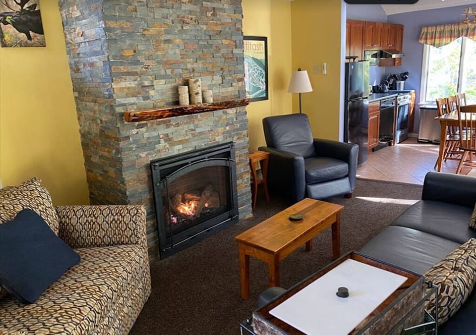 TV, fireplace, DVD player, video library