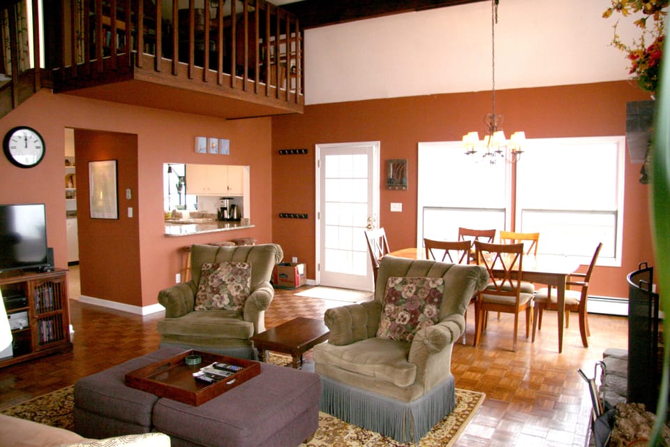 Smart TV, fireplace, DVD player, books