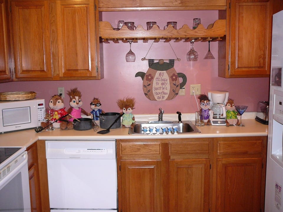 The chef and baker can cook up an acorn casserole in this fully equipped kitchen