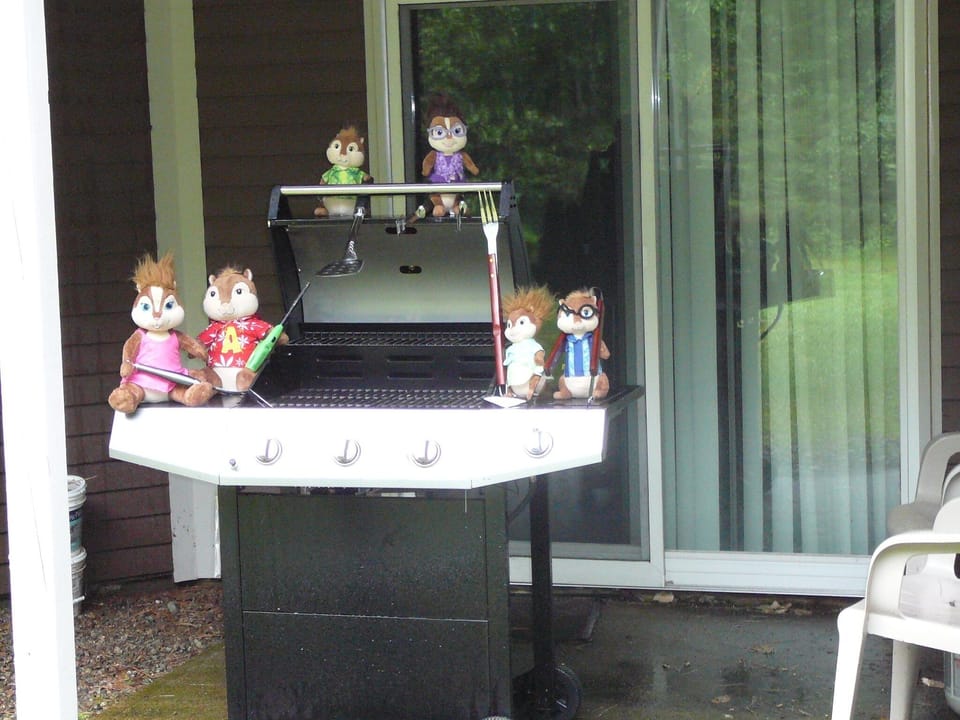 Grill up some forest delicacies on this propane grill at the condo.