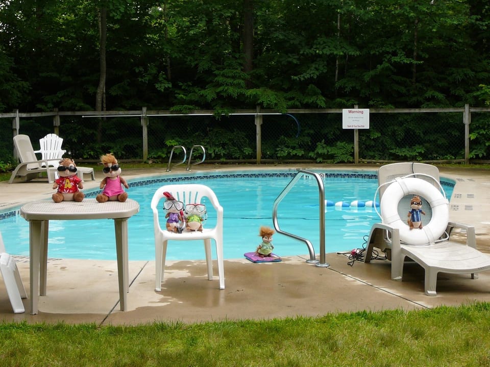 Remember to use sunblock so your fur doesn't burn at the inground seasonal pool.