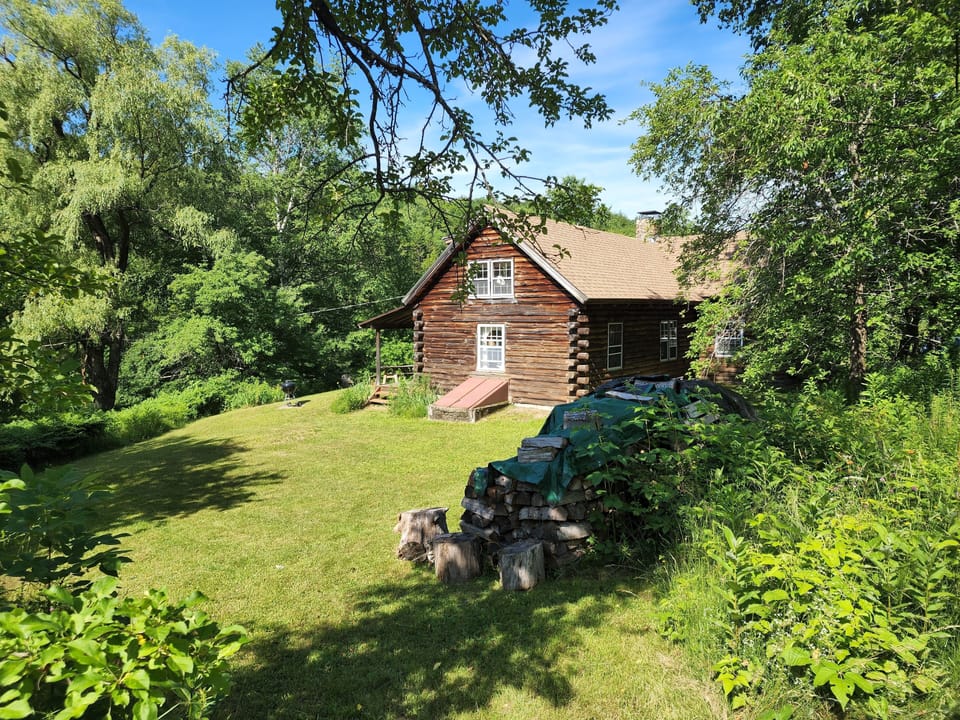 Back yard.