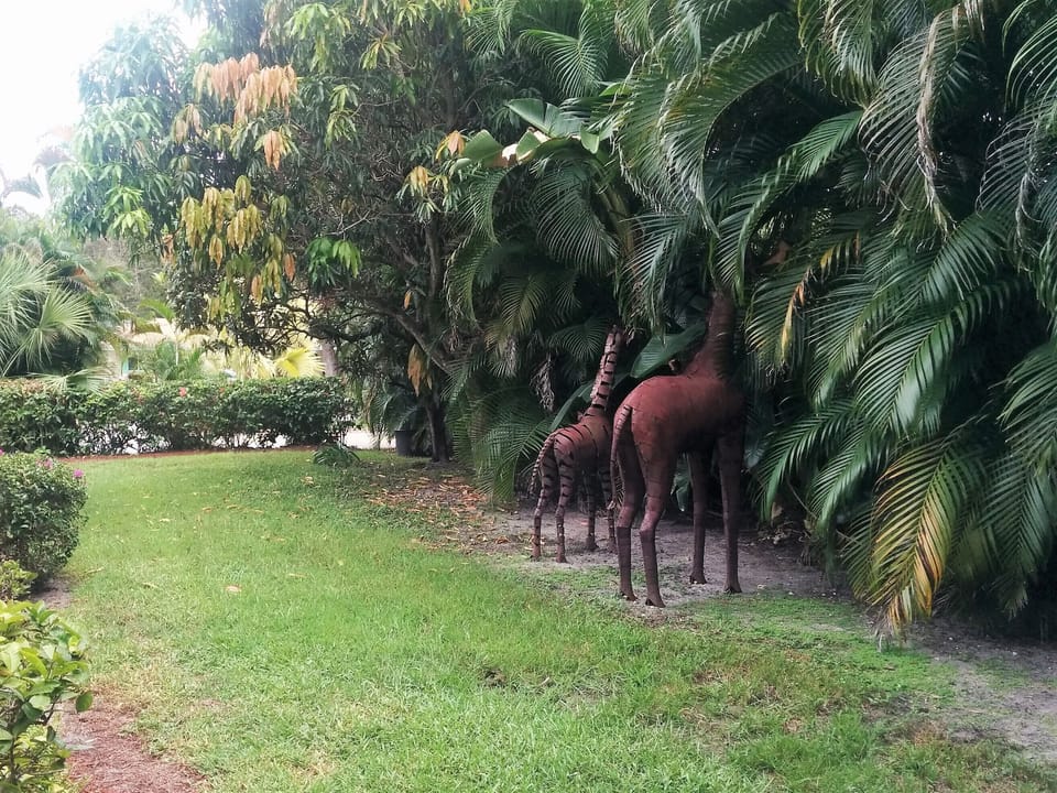 Tropical Yard with Giraffe Sculptures