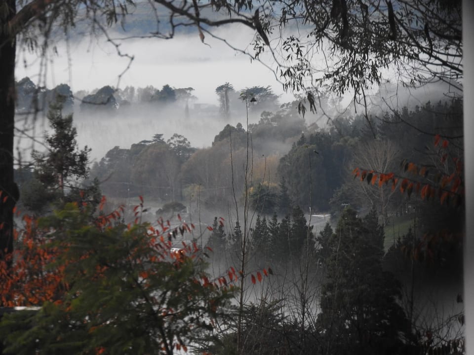 Winter views are stunningly beautiful.
