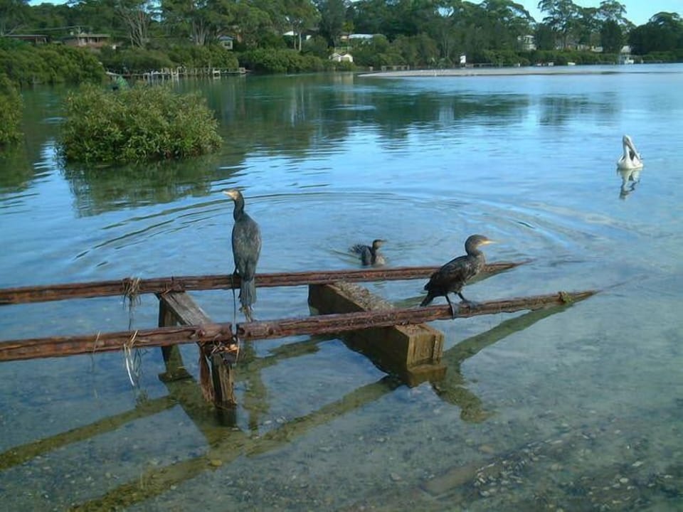 Nearby Tomago river, where there is a boat ramp.