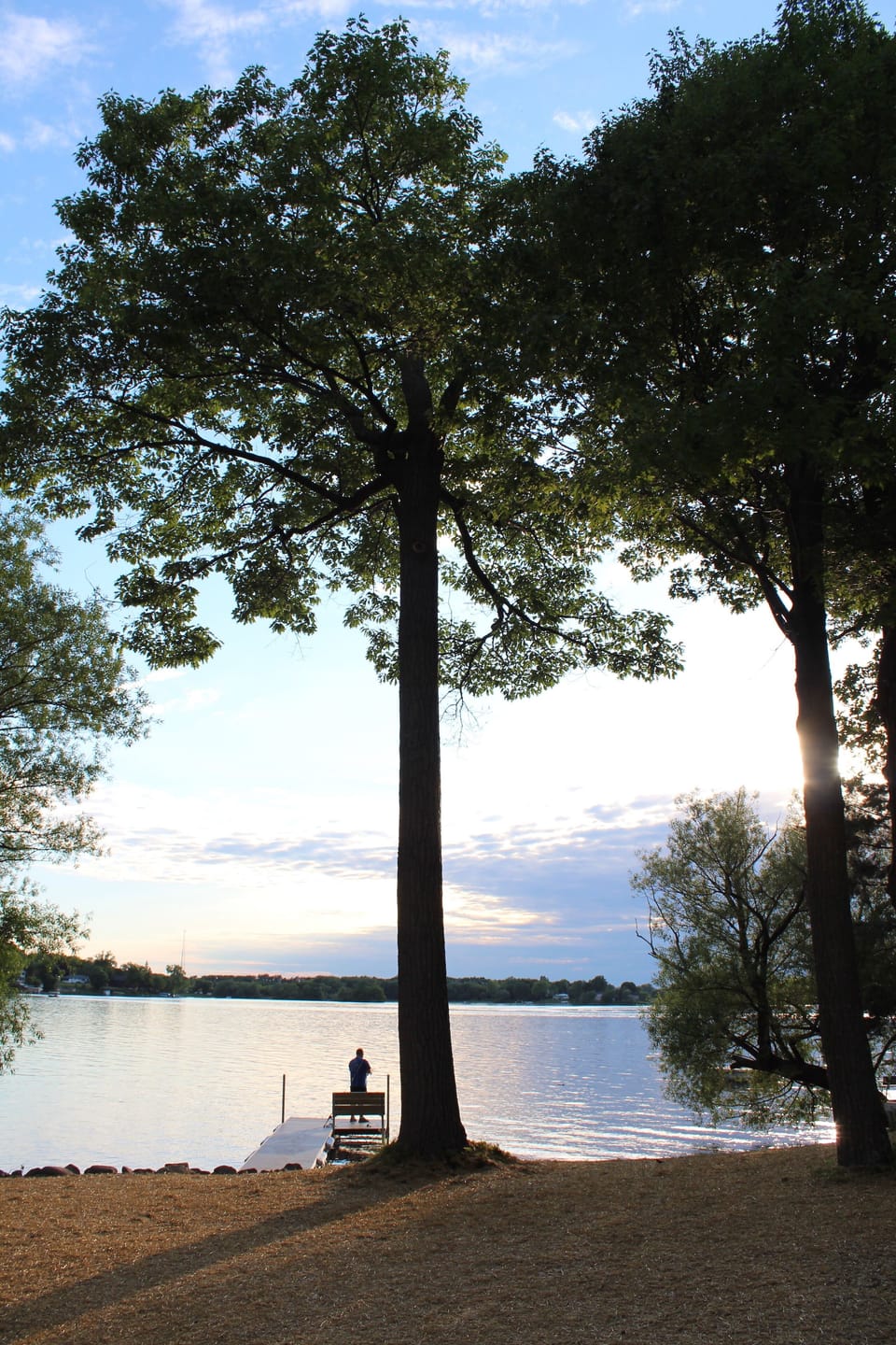 Backyard trees and pier