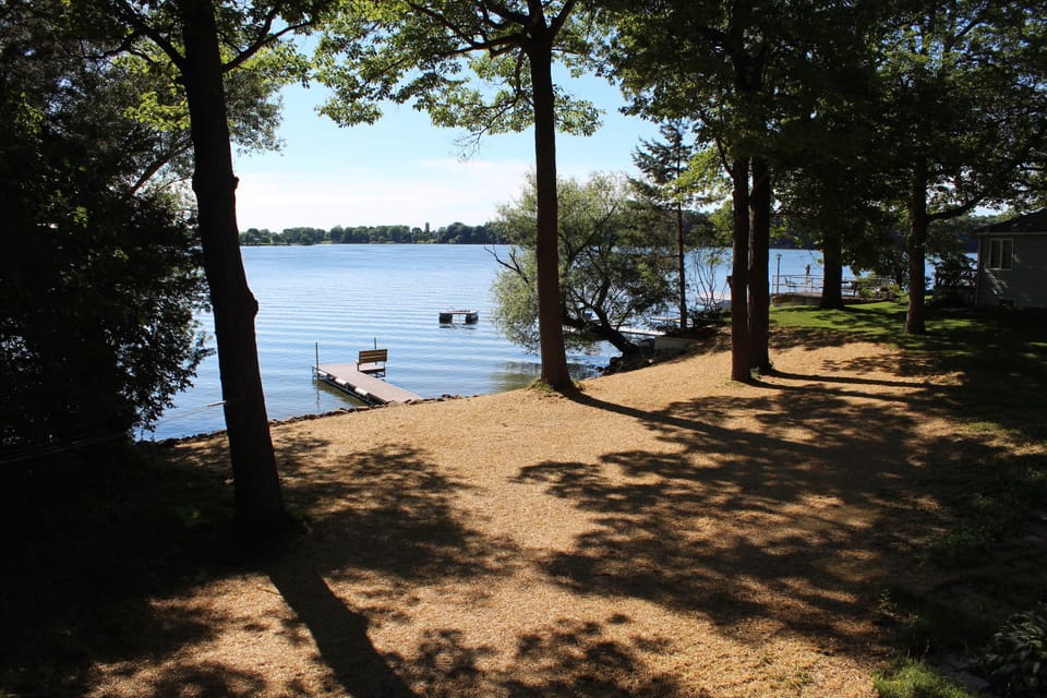 View of backyard and pier
