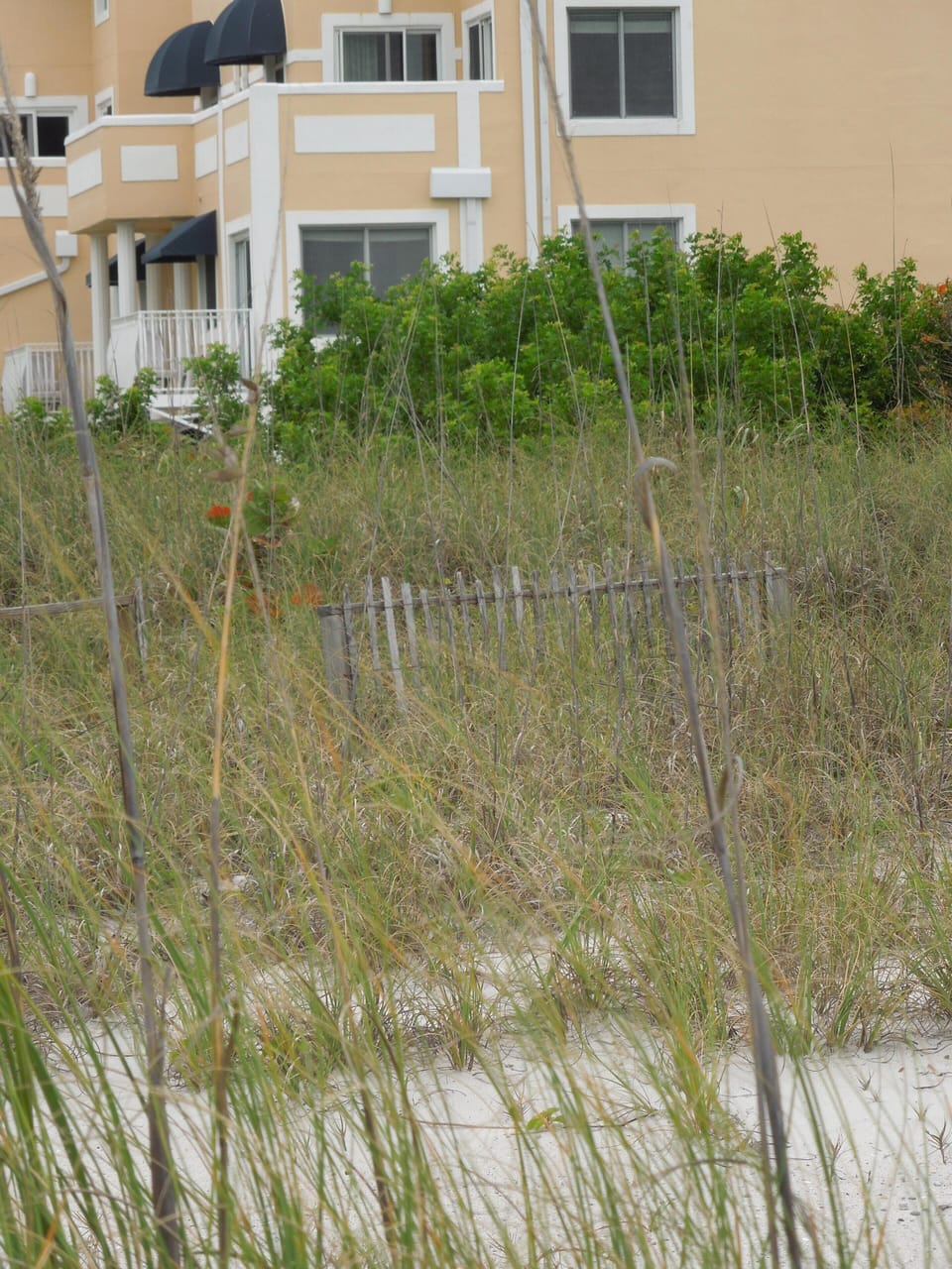 Absolute beach front property