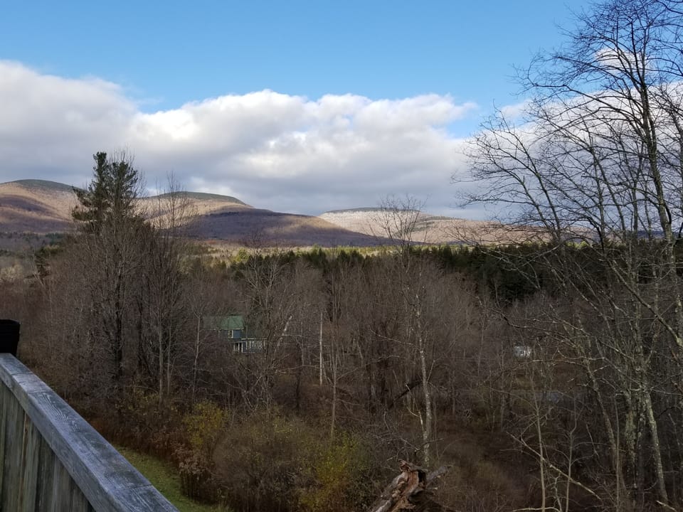 View from property