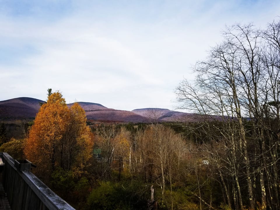 Fall view from the back deck