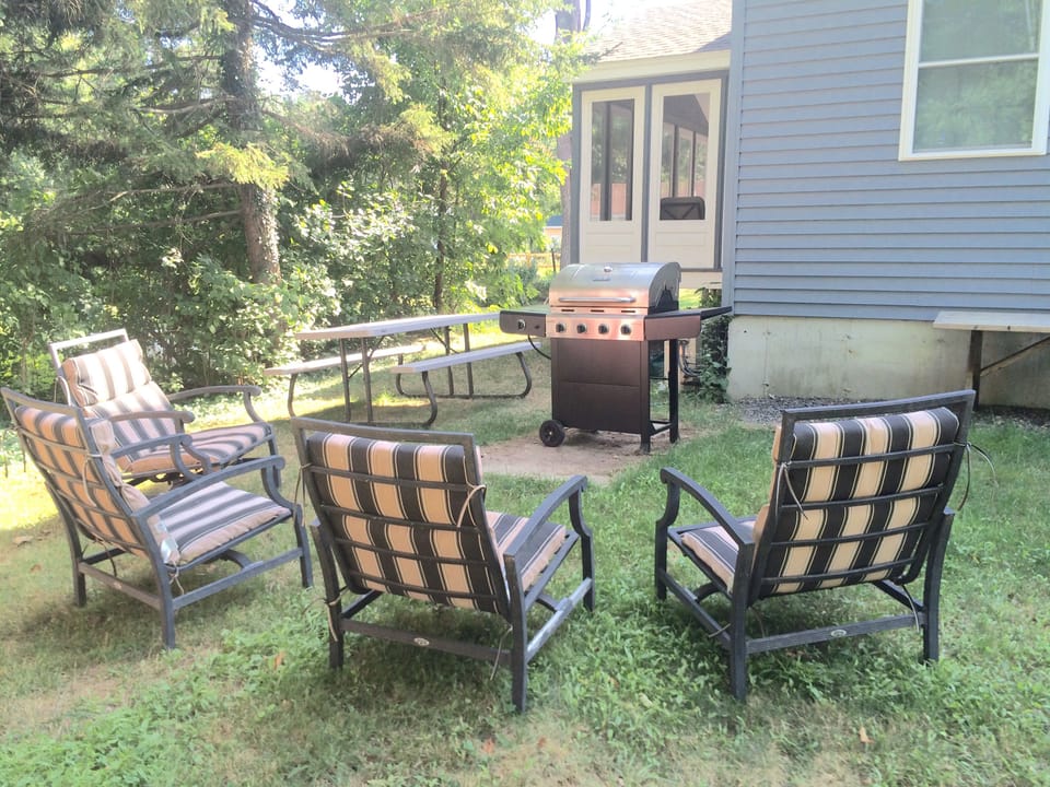 Gas grill, picnic table and outdoor seating