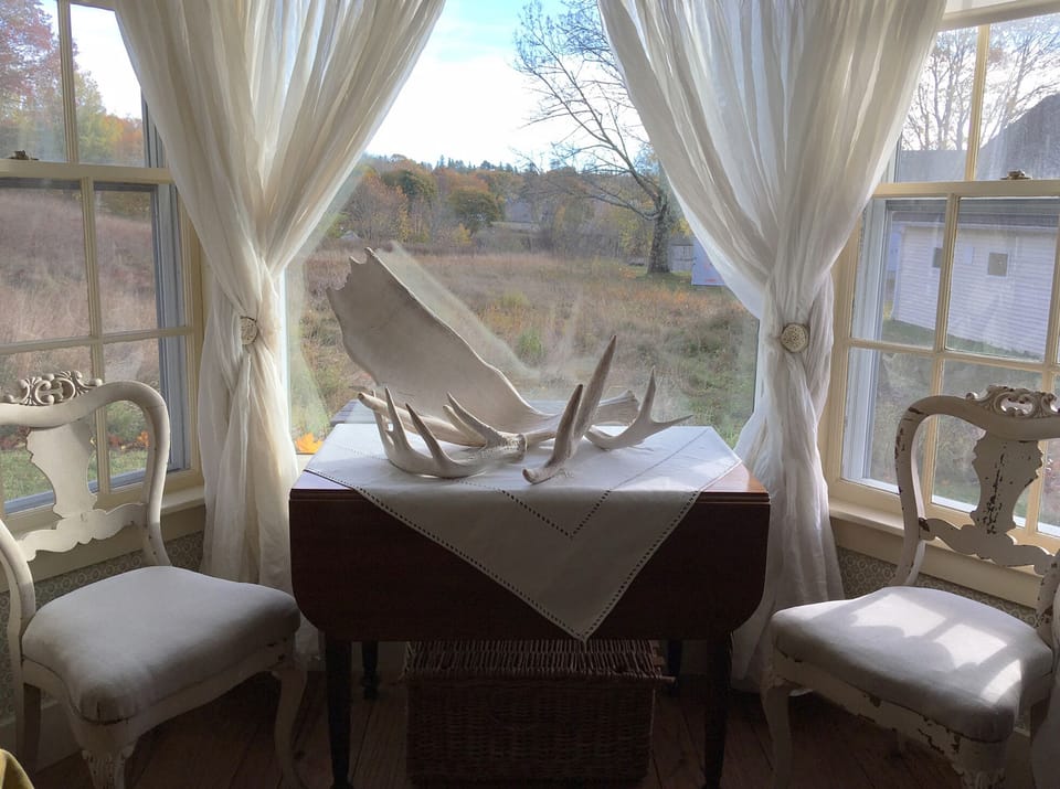 Living room window looking out over the back field in the fall.