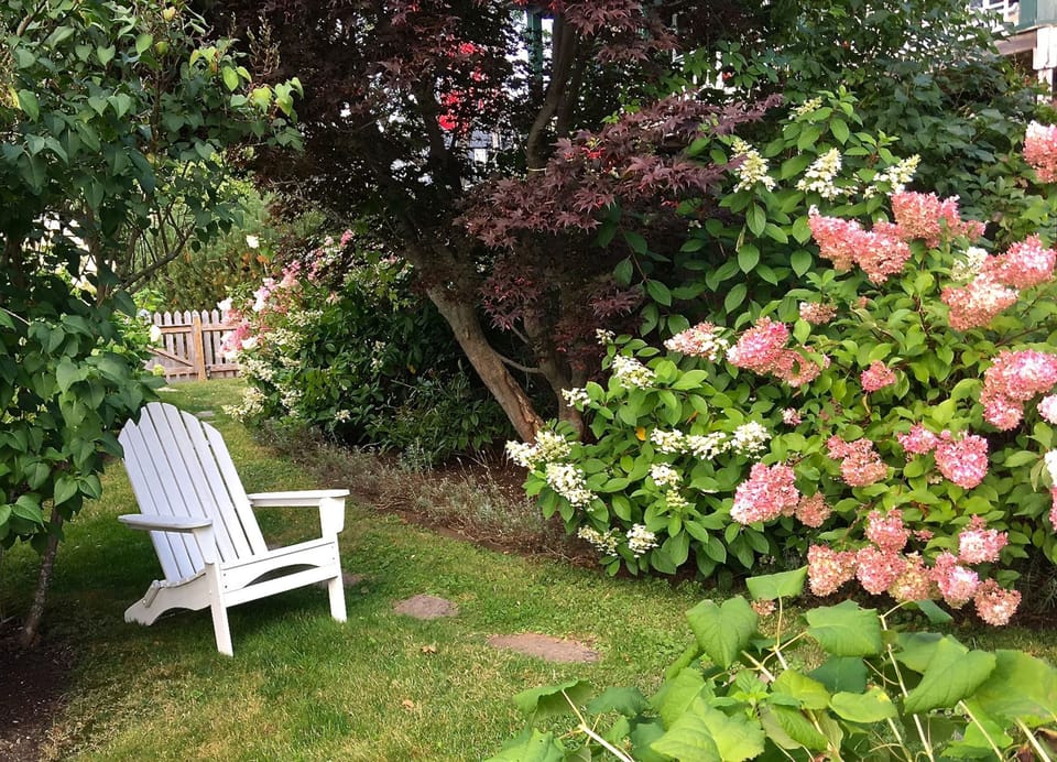 The front yard.
Photo by J. Robbe