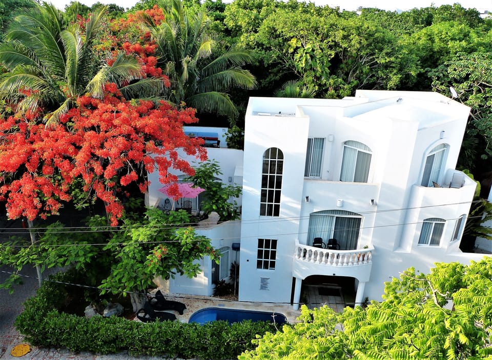 Casa Sueno Dorado