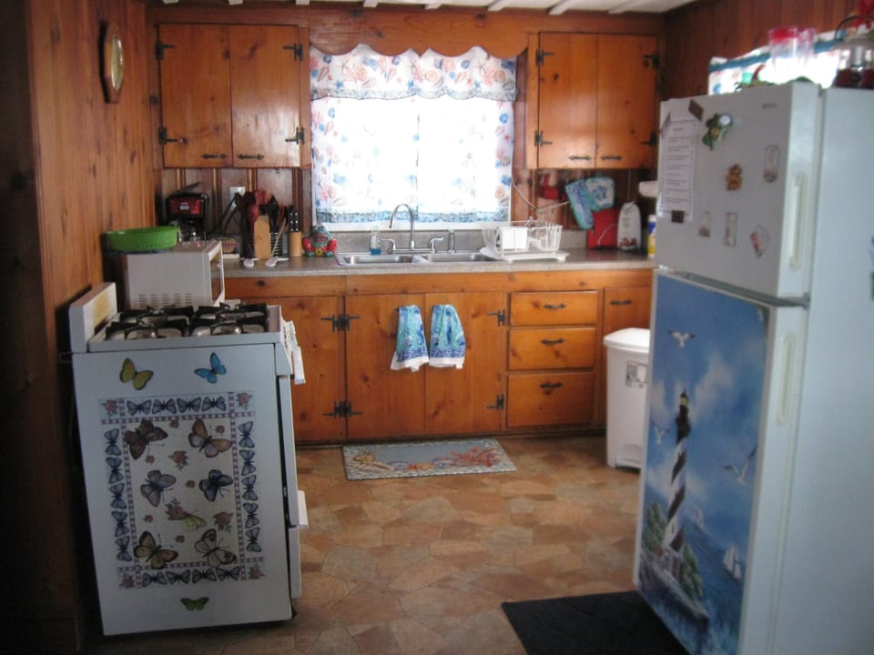 Quaint kitchen with new curtains, no dishwasher, but everything else you need.